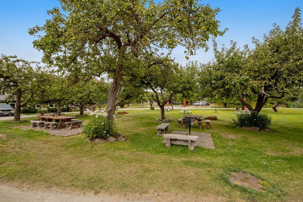 Deer Harbor Inn Eastsound Buitenkant foto